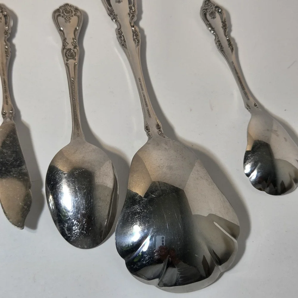 Oneida Stainless Brahms 6 Serving Pieces